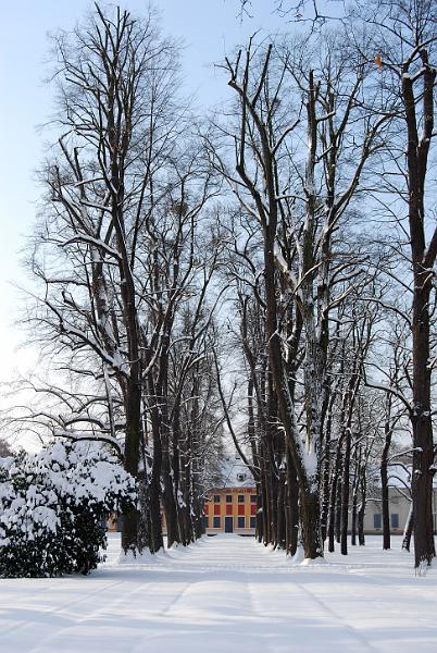 2010-12-02, Neuschnee (17).JPG